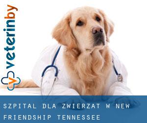 Szpital dla zwierząt w New Friendship (Tennessee)