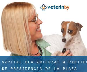 Szpital dla zwierząt w Partido de Presidencia de la Plaza