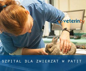 Szpital dla zwierząt w Patit