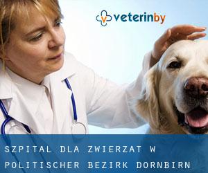 Szpital dla zwierząt w Politischer Bezirk Dornbirn