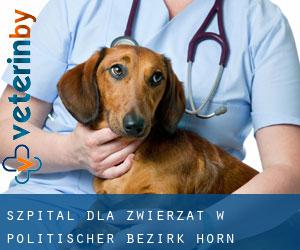 Szpital dla zwierząt w Politischer Bezirk Horn