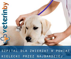 Szpital dla zwierząt w Powiat kielecki przez najbardziej zaludniony obszar - strona 1