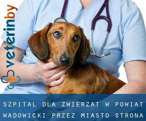 Szpital dla zwierząt w Powiat wadowicki przez miasto - strona 1