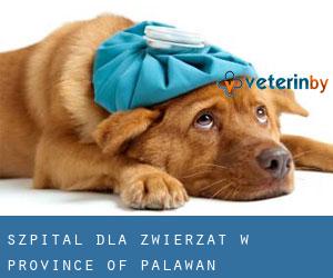 Szpital dla zwierząt w Province of Palawan