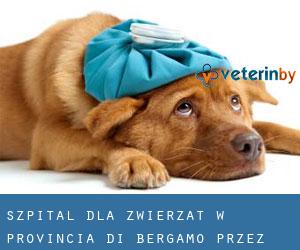 Szpital dla zwierząt w Provincia di Bergamo przez miasto - strona 1