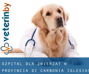 Szpital dla zwierząt w Provincia di Carbonia-Iglesias