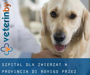 Szpital dla zwierząt w Provincia di Rovigo przez obszar metropolitalny - strona 1