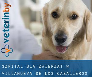 Szpital dla zwierząt w Villanueva de los Caballeros