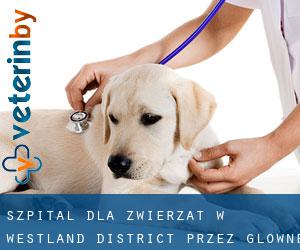 Szpital dla zwierząt w Westland District przez główne miasto - strona 1