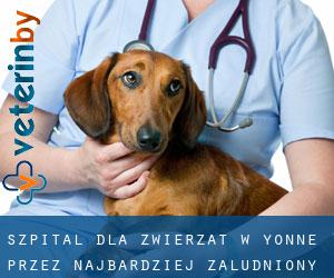 Szpital dla zwierząt w Yonne przez najbardziej zaludniony obszar - strona 1