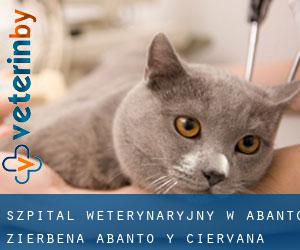 Szpital weterynaryjny w Abanto Zierbena / Abanto y Ciérvana