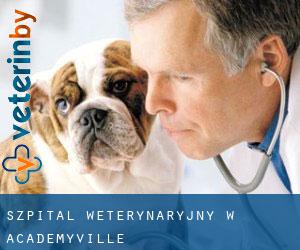 Szpital weterynaryjny w Academyville