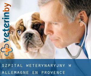 Szpital weterynaryjny w Allemagne-en-Provence