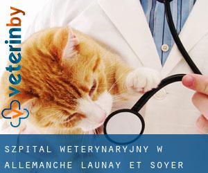 Szpital weterynaryjny w Allemanche-Launay-et-Soyer