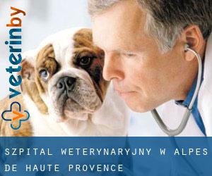 Szpital weterynaryjny w Alpes-de-Haute-Provence