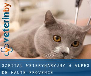 Szpital weterynaryjny w Alpes-de-Haute-Provence