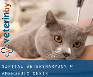 Szpital weterynaryjny w Amendeuix-Oneix