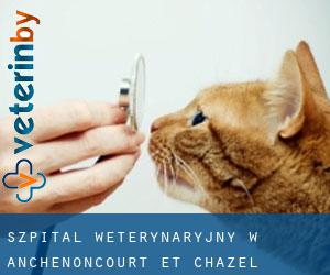 Szpital weterynaryjny w Anchenoncourt-et-Chazel