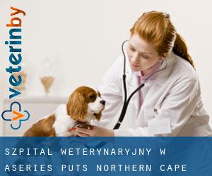 Szpital weterynaryjny w Aseries Puts (Northern Cape)