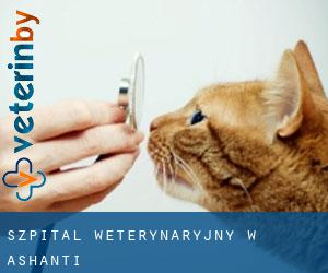 Szpital weterynaryjny w Ashanti