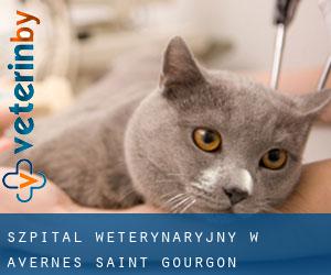 Szpital weterynaryjny w Avernes-Saint-Gourgon