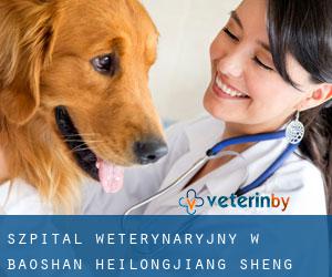 Szpital weterynaryjny w Baoshan (Heilongjiang Sheng)