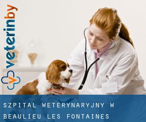 Szpital weterynaryjny w Beaulieu-les-Fontaines