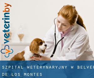 Szpital weterynaryjny w Belver de los Montes