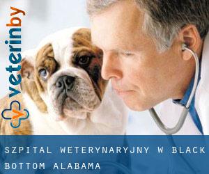 Szpital weterynaryjny w Black Bottom (Alabama)
