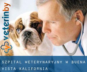 Szpital weterynaryjny w Buena Vista (Kalifornia)