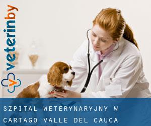 Szpital weterynaryjny w Cartago (Valle del Cauca)