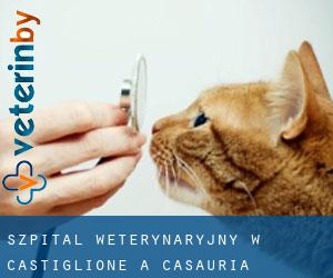 Szpital weterynaryjny w Castiglione a Casauria