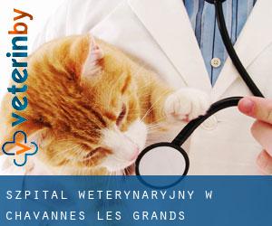 Szpital weterynaryjny w Chavannes-les-Grands