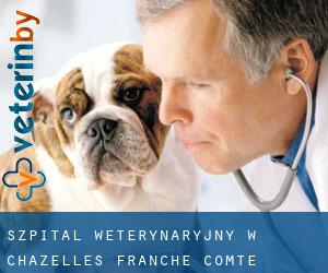 Szpital weterynaryjny w Chazelles (Franche-Comté)