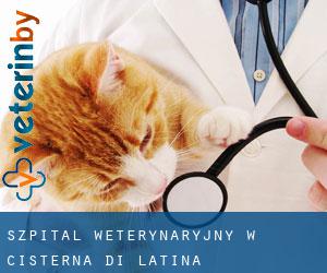Szpital weterynaryjny w Cisterna di Latina