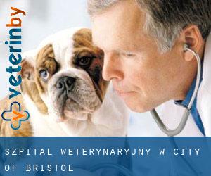 Szpital weterynaryjny w City of Bristol