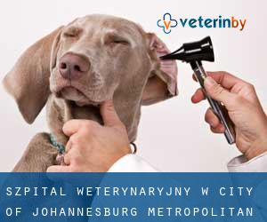 Szpital weterynaryjny w City of Johannesburg Metropolitan Municipality