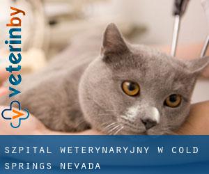 Szpital weterynaryjny w Cold Springs (Nevada)