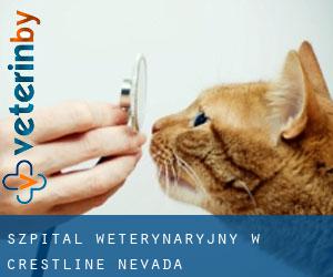 Szpital weterynaryjny w Crestline (Nevada)
