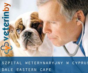 Szpital weterynaryjny w Cyprus Dale (Eastern Cape)