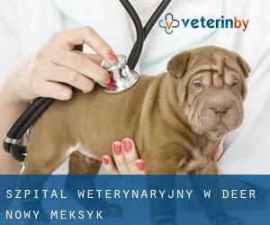 Szpital weterynaryjny w Deer (Nowy Meksyk)