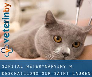 Szpital weterynaryjny w Deschaillons-sur-Saint-Laurent