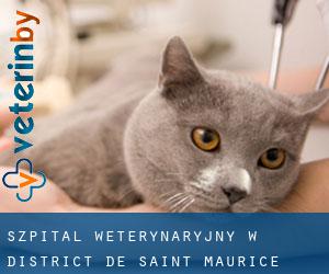Szpital weterynaryjny w District de Saint-Maurice