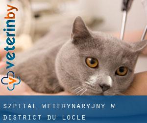 Szpital weterynaryjny w District du Locle