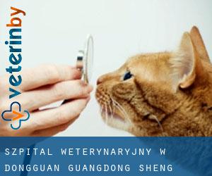 Szpital weterynaryjny w Dongguan (Guangdong Sheng)