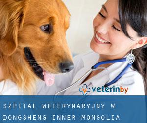 Szpital weterynaryjny w Dongsheng (Inner Mongolia)