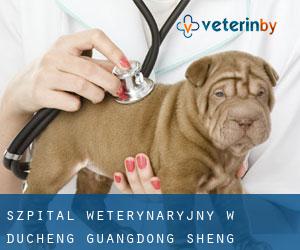 Szpital weterynaryjny w Ducheng (Guangdong Sheng) Szpital weterynaryjny w Ducheng (Guangdong Sheng)