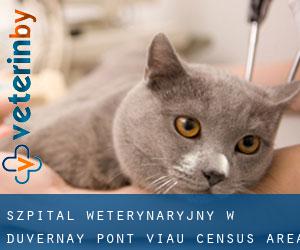 Szpital weterynaryjny w Duvernay-Pont-Viau (census area)
