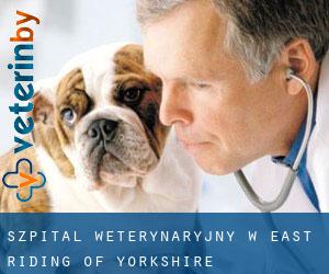 Szpital weterynaryjny w East Riding of Yorkshire