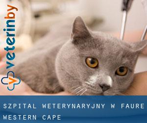 Szpital weterynaryjny w Faure (Western Cape)